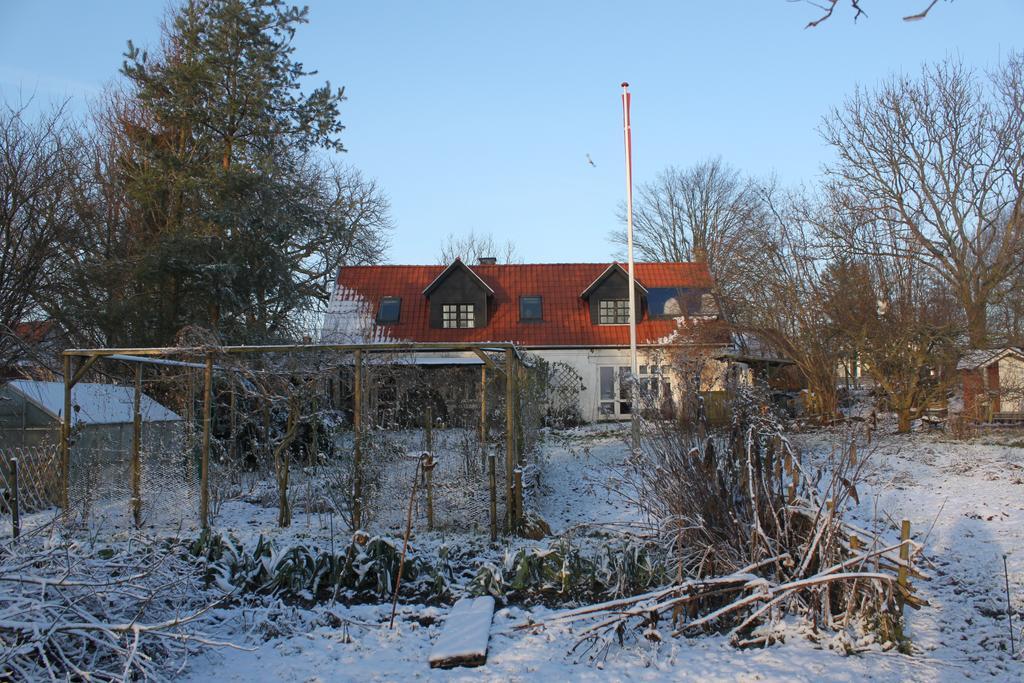 Borup Bed & Breakfast Exterior photo